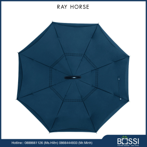 ô ngược ray horse